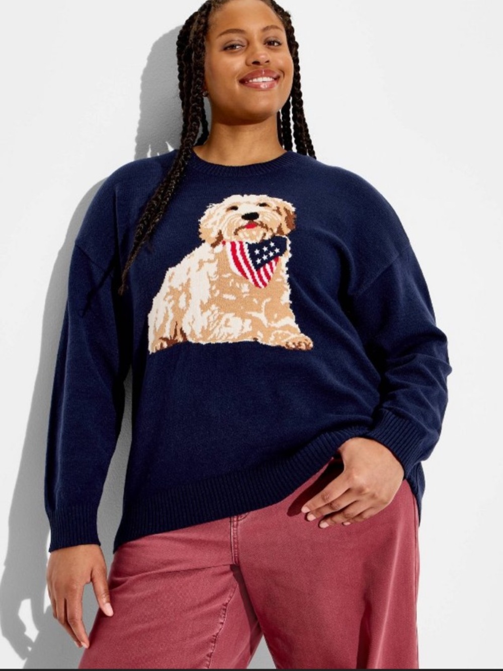 Americana Dog Sweater Navy Goldendoodle Graphic Pullover Size XXL NWT